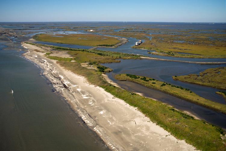 Aerial view of shoreline and wetlands
