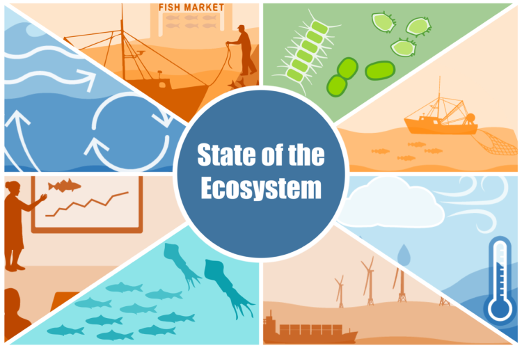 A state of the ecosystem infographic of images representing the fishing industry, primary production, fishing, climate change, other human uses of the ocean, forage fish, synthesis presentations, and currents.