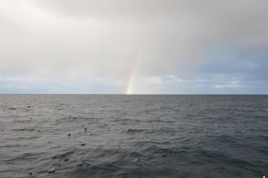 Photo of Bering sea with seabirds on the surface and a rainbow on the horizon.