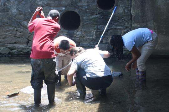 Three students and a teacher lean over a net as they crouch in the middle of a stream