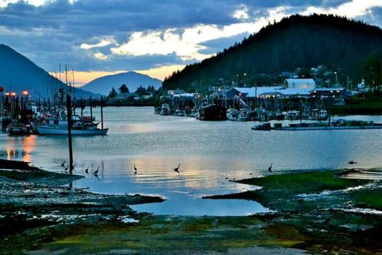 View of Wrnagell Harbor