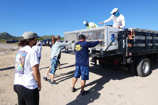 NOAA team unloading carrier from truck to release Hawaiian monk seal R7AF back to the wild.