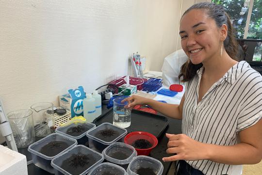 Summer intern Mariko Quinn in a lab with urchins in containers on a table.