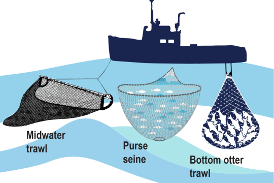 Infographic on trawl, purse seince and bottom otter trawl systems.