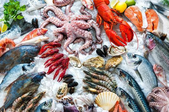A variety of seafood on a bed of ice.