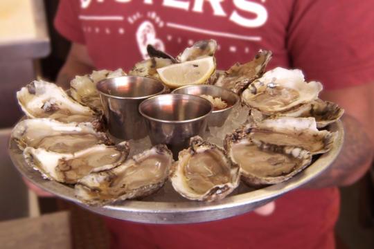Platter of oysters on the half shell. 