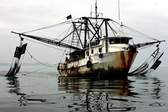 illegal-fishing-Gabon-2011.jpg