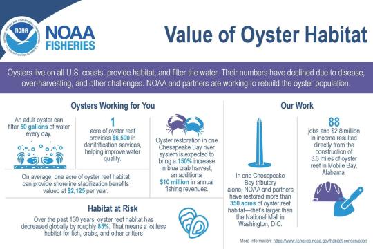 Infographic National Value of Oyster Habitat.jpg