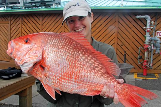 recreational-angler-red-snapper-fish-and-wildlife-research-institute.jpg