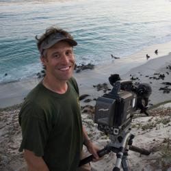 Photo of Paul Hillman on a beach sand dune with northern fur seals and California sea lions in beach rookeries, and entering the surf, in the background.