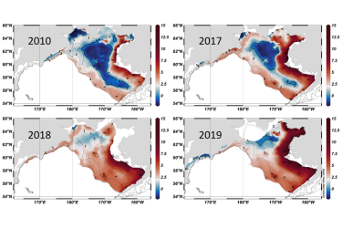 Heat map showing variations in size of the Bering Sea cold pool in 2010, 2017, 2018 and 2019.