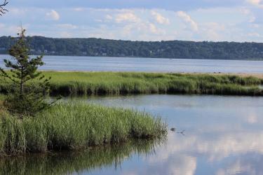 Coastal marsh within the Sandy Hook Bay estuary.