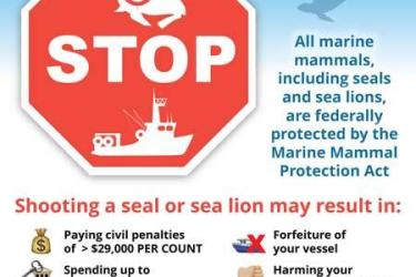 do not shoot seals and sea lions sign
