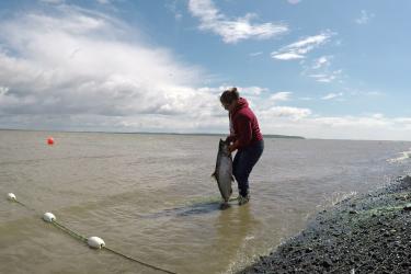 Photo of woman lifting a salmon from the water on a beach.