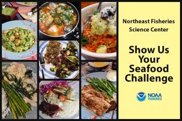 Graphic of seven winning dishes in the NEFSC Show Us Your Seafood Challenge