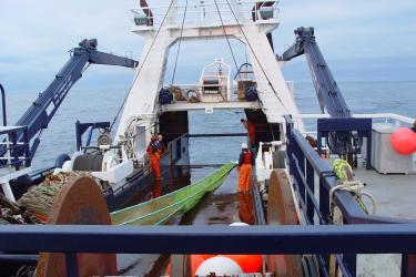 Photo of workers on a boat deck with a surface trawl net.