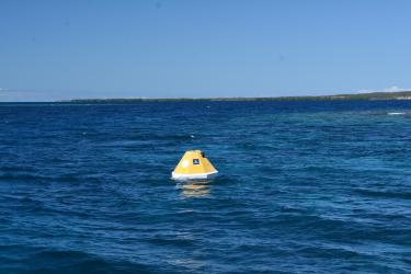 Yellow buoy in the blue ocean off the coast of Puerto Rico, land can be seen in the background