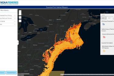 A display in the updated EFH Mapper of important fish habitats for managed fish in the New England/Mid-Atlantic region.