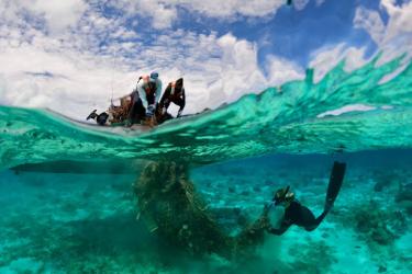 Papahānaumokuākea Marine Debris Project diver Kristen Kelly cuts a large derelict fishing net off the reef as NOAA divers Ari Halperin and William Reich haul it into the small boat at Holaniku (Kure Atoll).