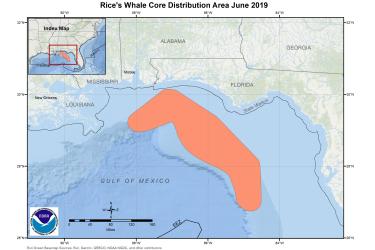 This is a map showing the Rice's whale core distribution area in the Gulf of Mexico.