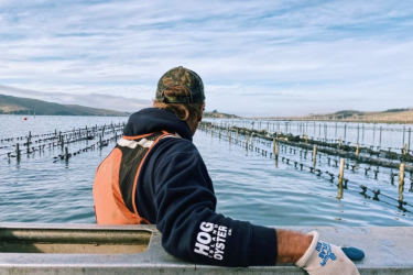 An Oyster Farmer on the Hog Island Oyster Company's farm, standing near the long lines in the Tomales Bay that hold the Seapa Oyster baskets in place.