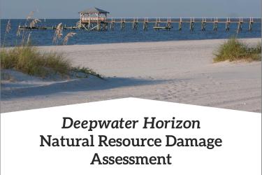 Deepwater Horizon 2021 Programmatic Review Cover