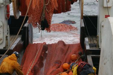 two individual work on a trawling survey by moving nets off the back of a vessel as it moves through the water.