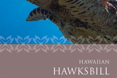 Hawaiian hawksbill sea turtle brochure