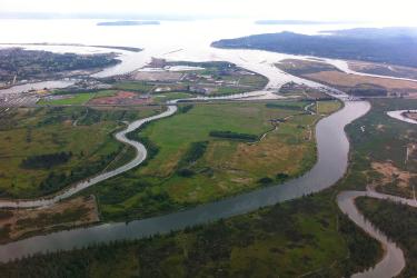 Aerial view of a river and streams flowing into a bay. Snohomish River Estuary