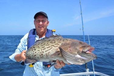 An angler fishing from a boat in the Gulf of Mexico holds a large gag grouper.