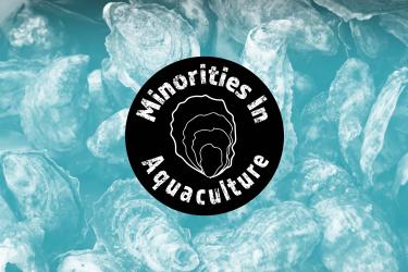 The "Minorities in Aquaculture" logo superimposed over a background of oysters in the shell.