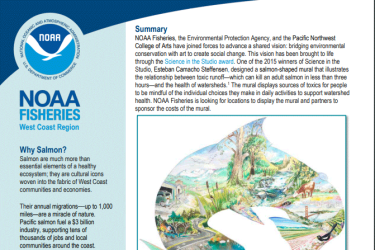 salmon mural information packet cover page