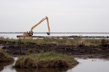 Construction equipment in a marsh