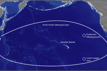 North Pacific Tropical Gyre