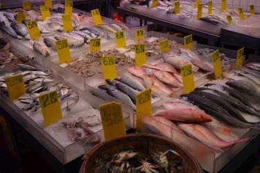 750x500-seafood-market.jpg