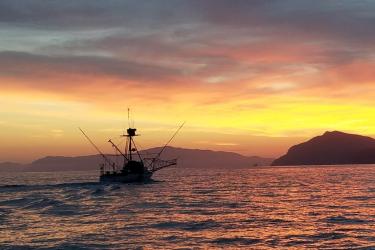 commercial-fishing-vessel-off-southern-CA.jpg