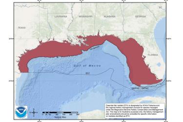 map-coastal-migratory-pelagic-EFH-GoMex-SERO.jpg