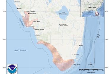 map-smalltooth-sawfish-critical-habitat-Florida-SERO.jpg