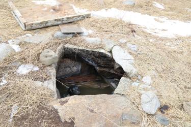 Abandoned well will seal pup stuck inside