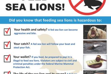 steller-sea-lions-do-not-feed-english-sign.jpg
