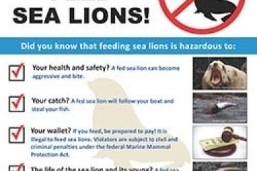steller-sea-lions-do-not-feed-english-sign250.jpg