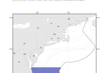 Summer_Flounder_Fishery-Sea_Turtle_Protection_Area_MAP.jpg