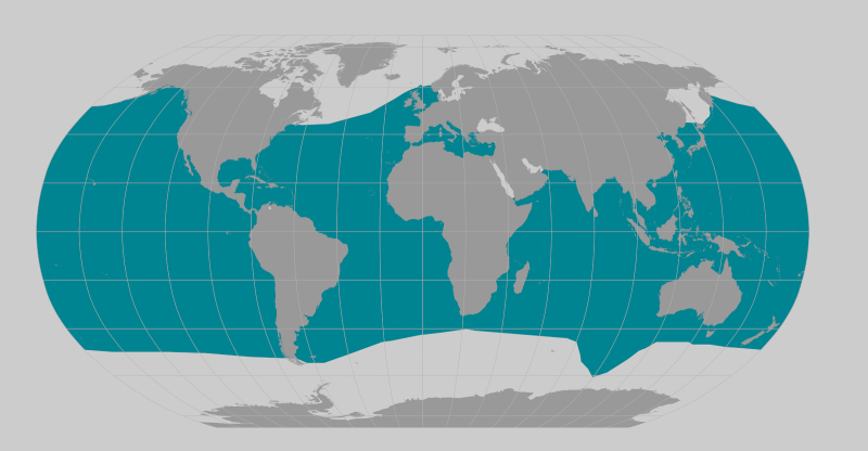 Cuvier's beaked whale range map. 