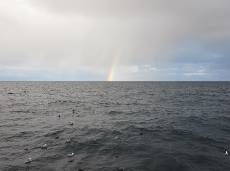 Photo of Bering sea with seabirds on the surface and a rainbow on the horizon.