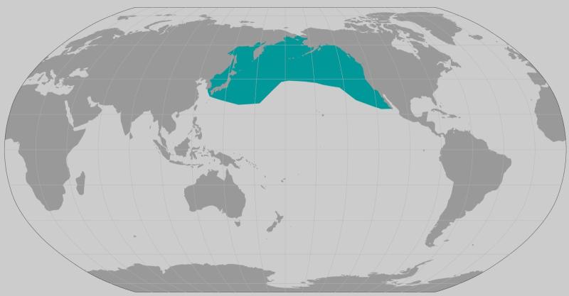 World map providing approximate representation of the Baird's beaked whale's range