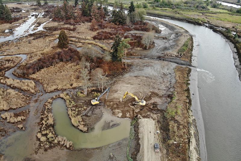 Aerial photo of two excavators digging in a wetland
