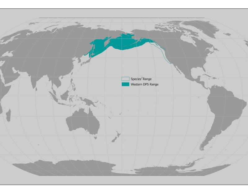 World map providing approximate representation of the Steller sea lion's range.