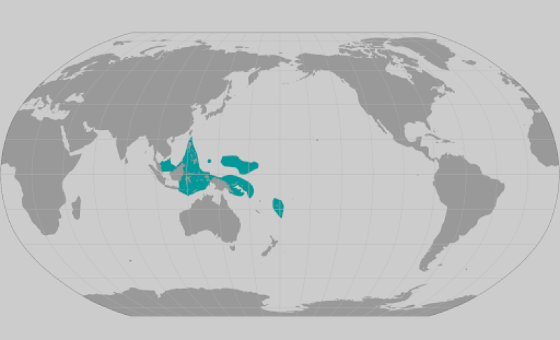 Acropora lokani coral range map