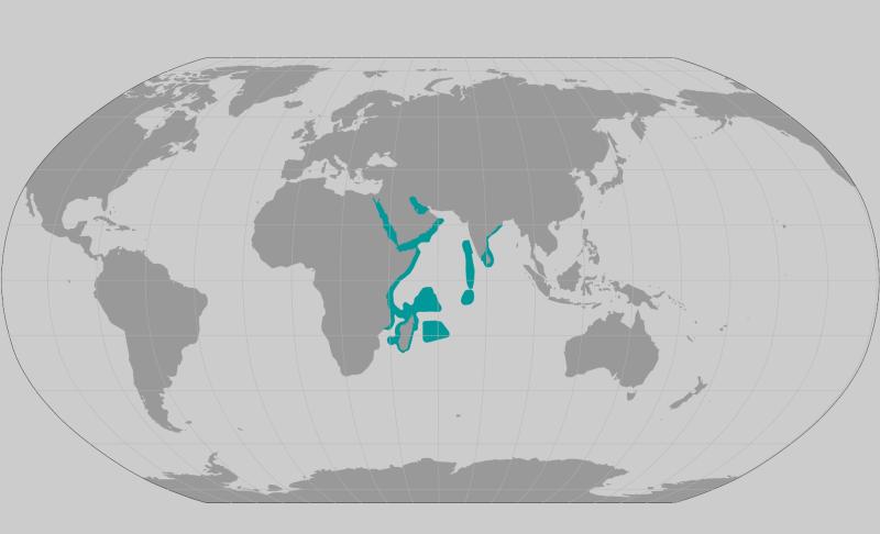 Acropora pharaonis coral range map