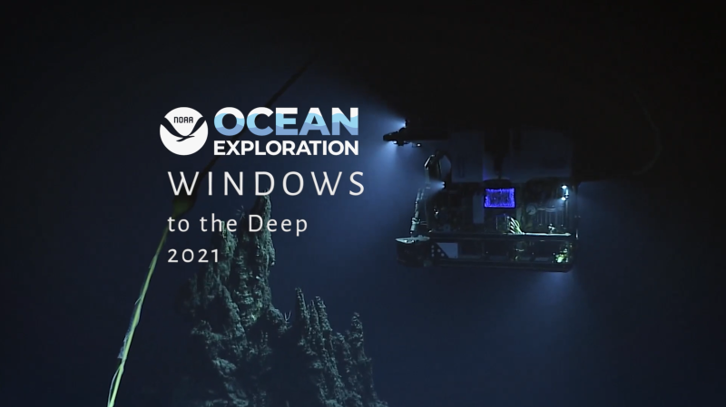 NOAA Ocean Explorer Windows to the Deep
